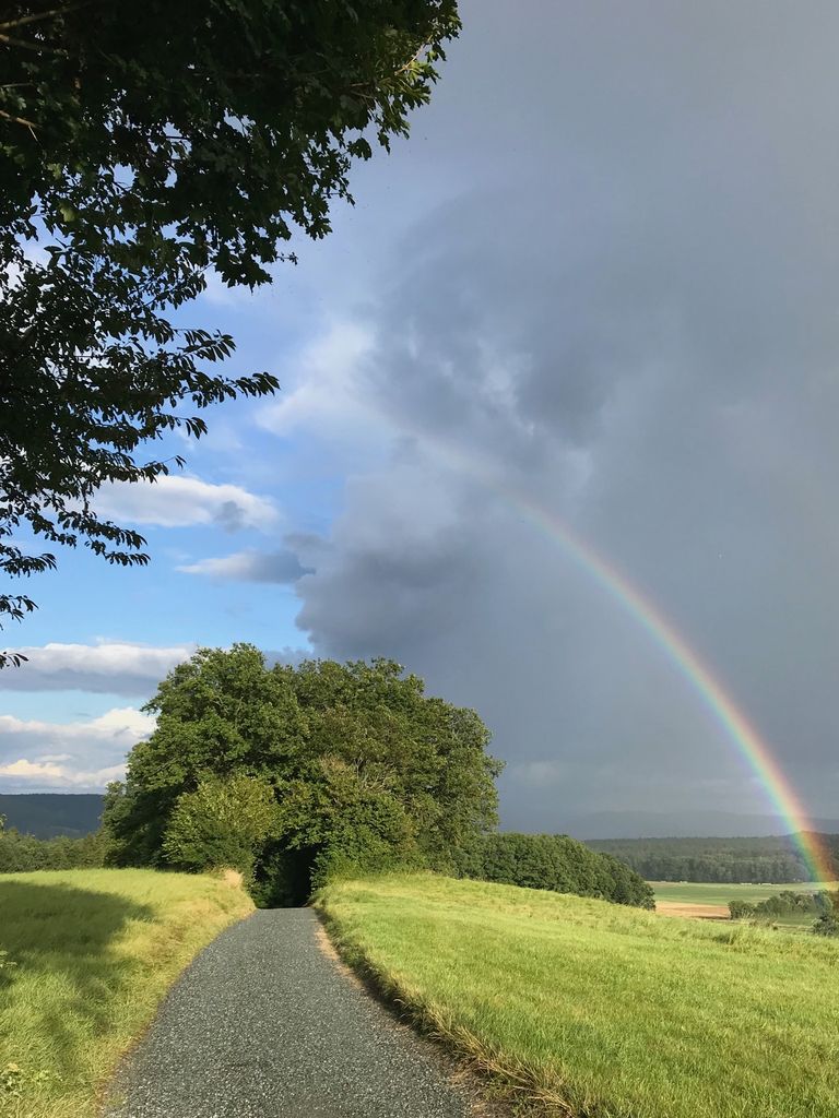 Weg auf einem Hügel, mit Büschen und einem Regenbogen