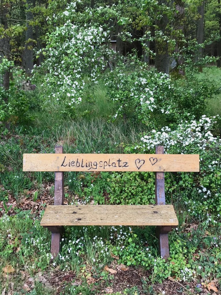 Bank im Wald mit Gravur Lieblingsplatz und zwei Herzen mit blühenden Büschen im Hintergrund.